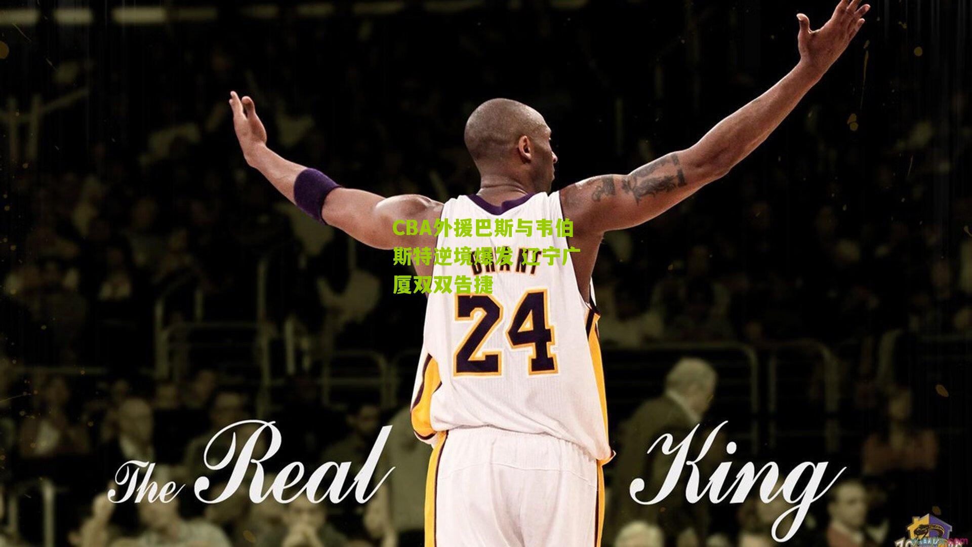 CBA外援巴斯与韦伯斯特逆境爆发 辽宁广厦双双告捷