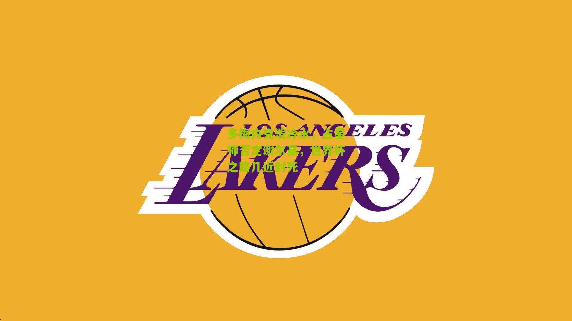 多梅内克泼冷水,占星师否定谢尔基,世界杯之路几近封死