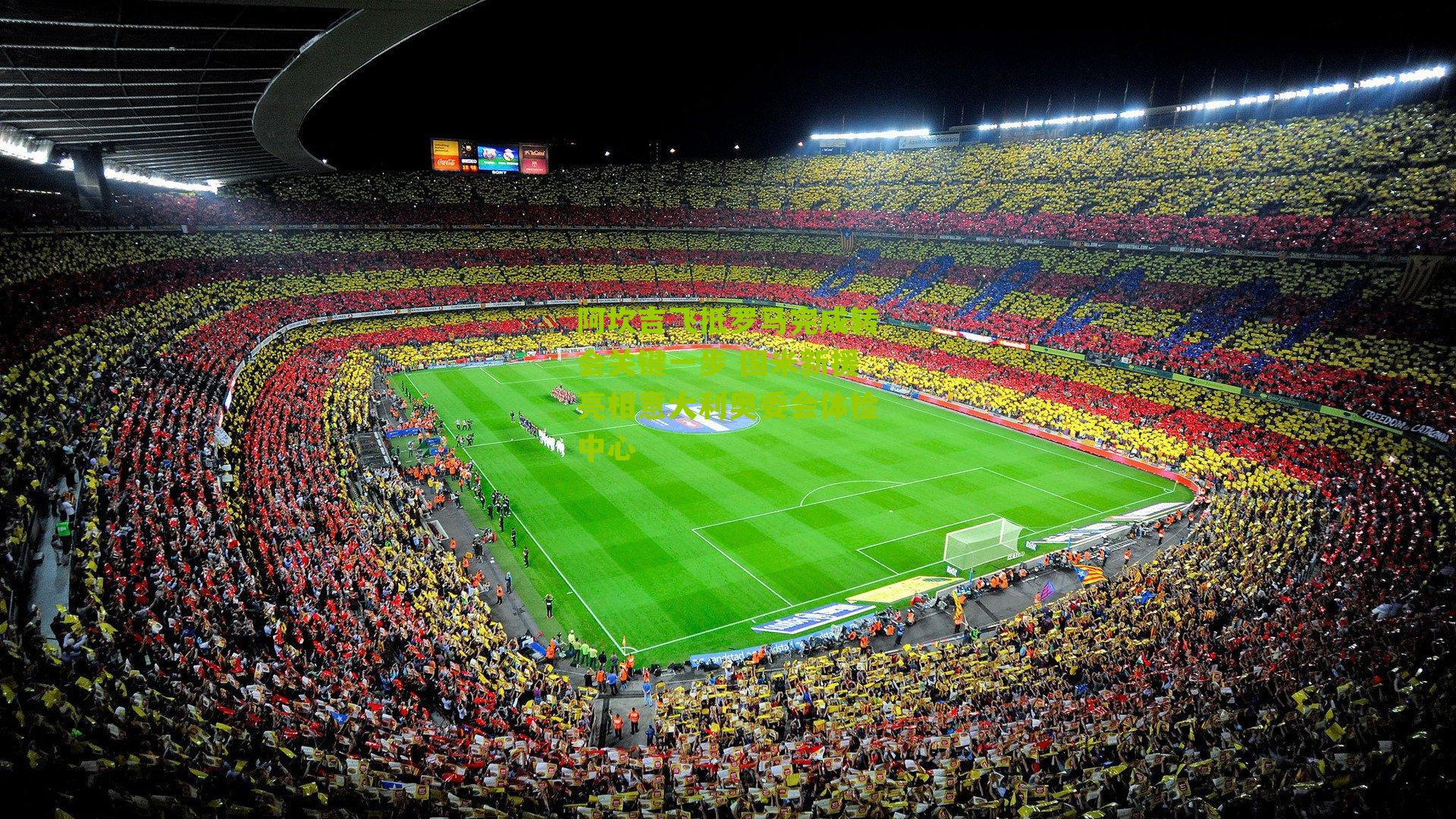 阿坎吉飞抵罗马完成转会关键一步 国米新援亮相意大利奥委会体检中心